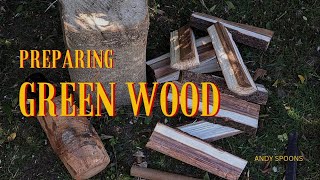 How To Process Green Wood For Spoon Carving  Andy Spoons [upl. by Azriel]