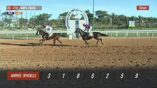 Live Hippodrome « CASABLANCA »  Courses du « 10112023 » [upl. by Alamac]