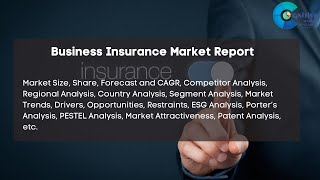 Business Insurance Market Report 2024  Forecast Market Size Growth Trends [upl. by Ynhoj349]