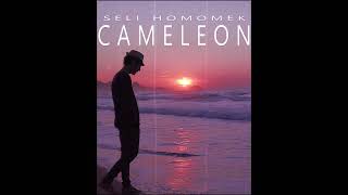 Cameleon  Seli homomek  سـلي هـمـومـك [upl. by Puritan484]