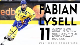 The Best Of Fabian Lysell  Top Prospect For The NHL 2021 Draft  Hockey Highlights  HD [upl. by Aynot]