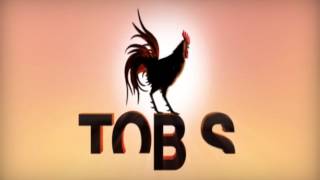 Tobis Film Logo [upl. by Honniball181]