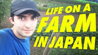 My Life on a Japanese Farm WWOOF JAPAN [upl. by Lebasiram]