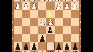 Top 10 Chess Openings [upl. by Eliathan]