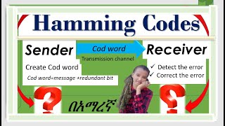 Hamming codes error correction in computer network በአማረኛ [upl. by Ariaec]