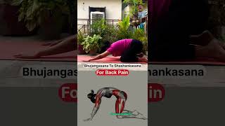 Bhujangasana To Shashankasana For Back Pain yoga yogaforbackpain [upl. by Hilliard]