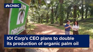 IOI Corps CEO plans to double its production of organic palm oil [upl. by Yennep]