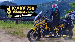 XADV 750 พิชิต ภูสวรรค์ กางเต็นท์ เขาน้อยแคมป์สะนำ  เที่ยวจังมึง [upl. by Sherrer]