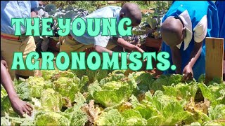 Students Loving Agriculture Growing Vegetables In School Garden🌱🌱🌱 [upl. by Durst]