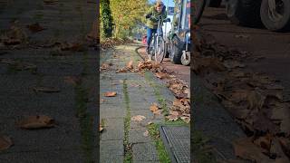 Removing Autumn Leaves from the street in the Netherlands [upl. by Asum149]