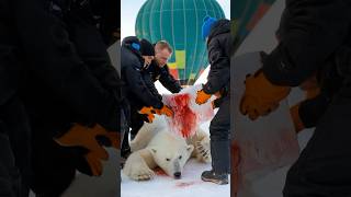 Hot Air Balloon saves Polar Bear from death [upl. by Ardnahs]