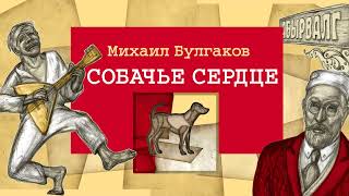 «СОБАЧЬЕ СЕРДЦЕ» МИХАИЛ БУЛГАКОВ  аудиокнига фрагмент в исполнении Бориса Плотникова [upl. by Sergu98]