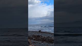 Ocean majesty naturenaturallynurtures nature peaceful rainbow eagle oceanbirds islandlife [upl. by Reeta]