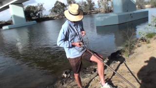 Crabbing Mandurah [upl. by Esille]