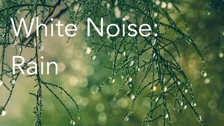 Rain Sounds for Relaxing Focus or Deep Sleep  Nature White Noise  8 Hour Video [upl. by Yalhsa]