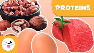 What are proteins  Healthy Eating for Kids [upl. by Nosoj]