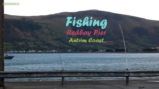 Sea Fishing Redbay Pier Antrim  N Irish Angling Interview [upl. by Ramoj340]