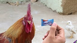 Mentos Most funny Indian TV Ads Commercial  Part 1 [upl. by Eliot]