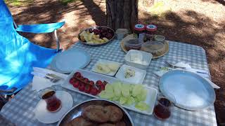 Pinery Provincial Park Long Weekend Camping Camping in Ontario Lake Huron Tent Camping 4K 1 [upl. by Westhead]