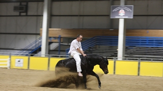 Amazing Reining freestyle [upl. by Imoyik]