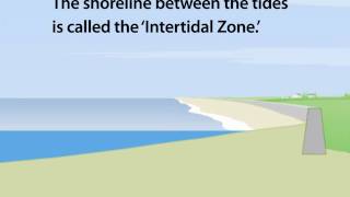 Coastal Realignment  How it Works Explanimation [upl. by Bertila345]