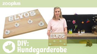 DIY Hundegarderobe selber machen  Tierisch einfach DIY mit Luisa  zooplus [upl. by Brownley917]