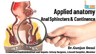 Applied anatomy of Anal canal 2  Anal sphincter complex amp continence mechanism  Edusurg Clinics [upl. by Aikan]