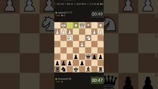 16 move checkmateHorwitz defense openingdamianos bishop mate chessted [upl. by Marsiella]