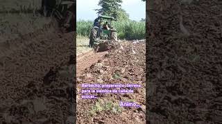 Preparación de terreno barbecho caña  maquilas  ánimo [upl. by Aslam]