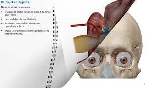 ANATOMIE FMPM NERF OCULOMOTEUR [upl. by Enirrok745]