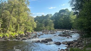 Exploring jørpelands river amp nature path 🌊 [upl. by Netnilc]