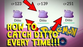 HOW TO CATCH DITTO EVERY TIMEANY TIME POKEMON GO TRICK [upl. by Wauters532]