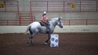 Perry Draft Horse Show Oct 2020 Barrel Racing [upl. by Norrehs768]