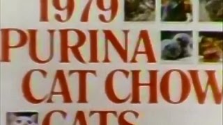 Purina Cat Chow Calendar Cats 1978 TV Commercial HD [upl. by Howes]