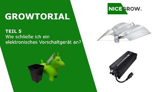 Growtorial by NICEGROW Teil 5  Wie schließe ich ein elektronisches Vorschaltgerät an [upl. by Nirek510]