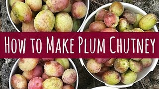 HOW TO MAKE PLUM CHUTNEY [upl. by Neff568]