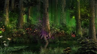 Mystical Forest Music  Enchanting Magical Creatures [upl. by Bedell]