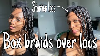 Box Braids over Starter Locs [upl. by Apollus14]