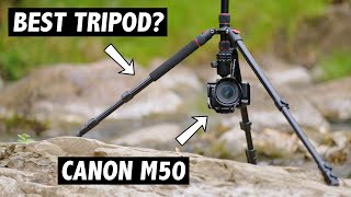 The Best Tripod for the Canon M50 or Canon M50 Mark II [upl. by Octavie]