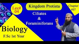 Biology Ch07Lecture04 Ciliate and Foraminiferans FSc 1st Year [upl. by Erie]