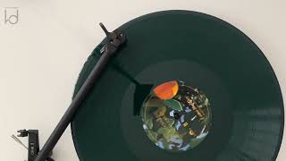 Lana Del Rey  LA Who Am I To Love You Vinyl Visualizer [upl. by Adnalue]