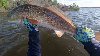 Inshore Slam with OVER SLOT REDDRUM Matlacha NORTH [upl. by How89]