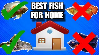 Best 20 Aquarium Fish For Home Aquarium  Best 20 Freshwater Fish For Home Aquarium [upl. by Mccahill432]