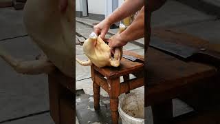 How to Butcher a Chicken for Beginners farming chicken [upl. by Haelem]