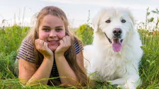 Facts About Kuvasz [upl. by Bunns]