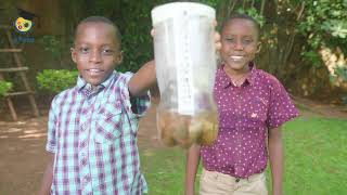 How to make a rain gauge at home [upl. by Annaig707]