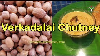 Verkadalai ChutneyPeanut Chutneyவேர்க்கடலை சட்னி  Tamil   Sattur Parambariya Samayal [upl. by Aeriela]