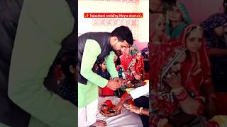 Mayro lavela mhara bhainew dj remix Rajasthani mayra songmarwadi weddingytshorts👌✨💫🥰 [upl. by Esyla]