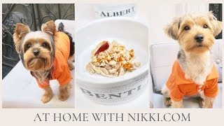 PET RECIPES  WHAT WE ATE  PET EDITION [upl. by Akino]