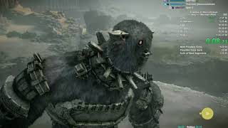 Shadow of the Colossus Speedrun in 12547 PS4WR [upl. by Noiro741]